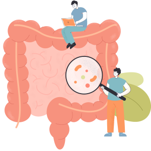 Probiotic Supplement for Gut Health