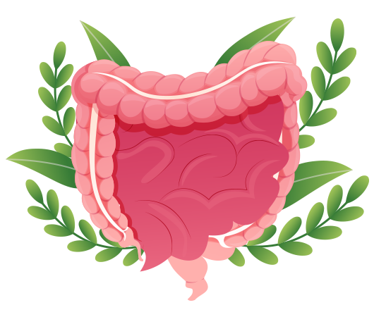 Probiotic Supplement for Gut Health