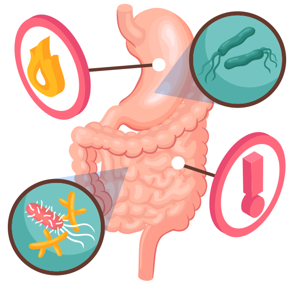 Gut Health