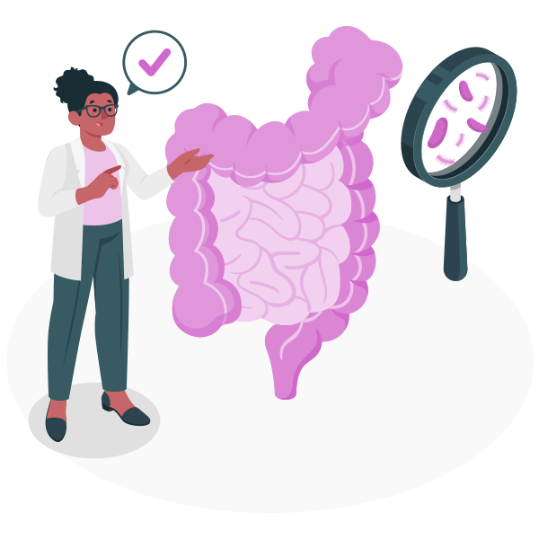 Gut Health