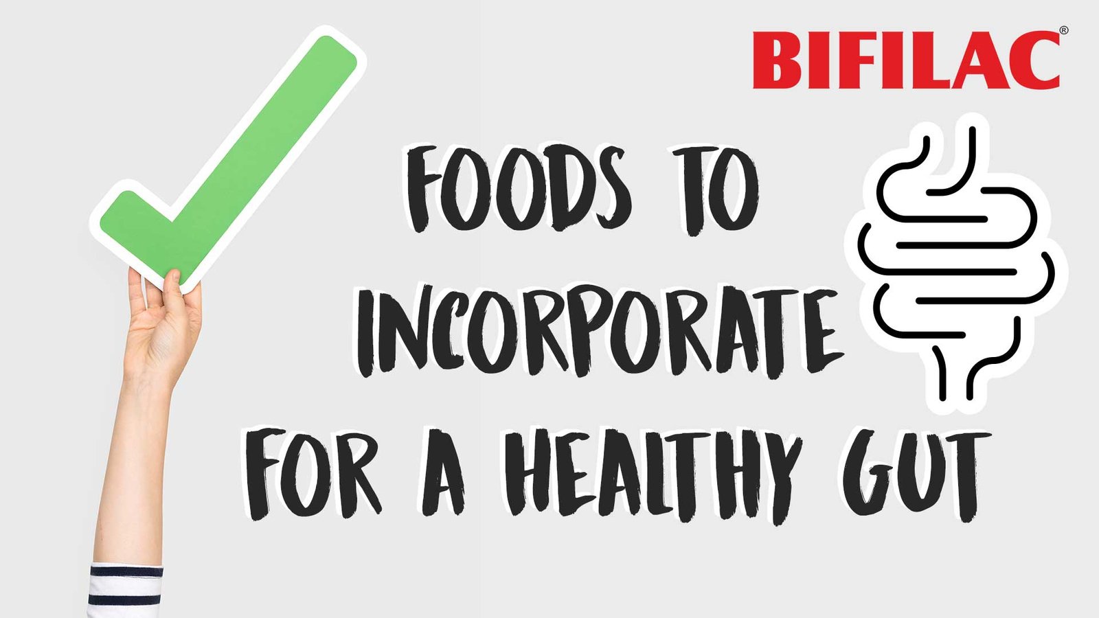 Foods to Incorporate for a Healthy Gut