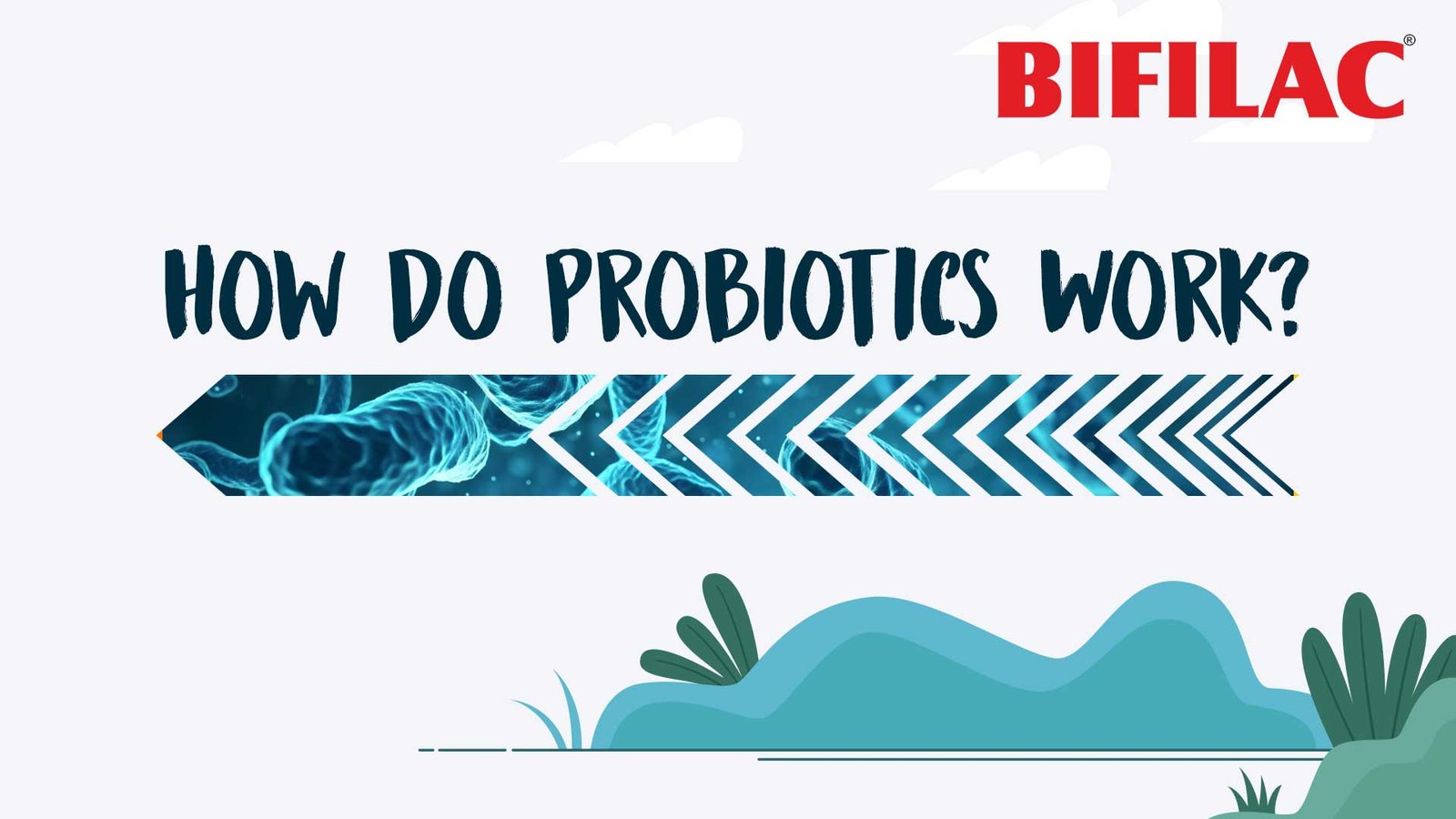 Probiotics